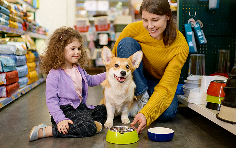 Controle de estoque: como implantar em seu pet shop e faturar mais