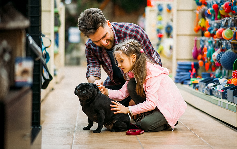 seu pet shop e faturar mais - Controle de estoque: como implantar em seu pet shop e faturar mais